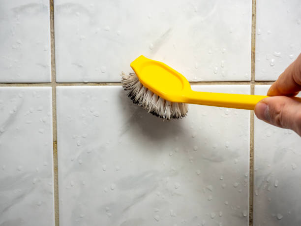 Best Mold Testing  in South Windham, CT