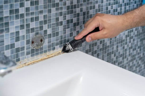 Best Mold Cleaning Services  in South Windham, CT